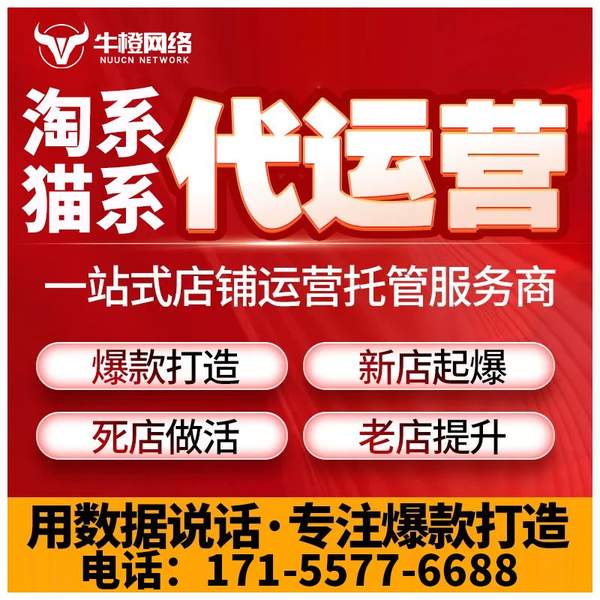 黔西南电商代运营